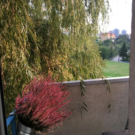 Apartament Przemyslaw 公寓